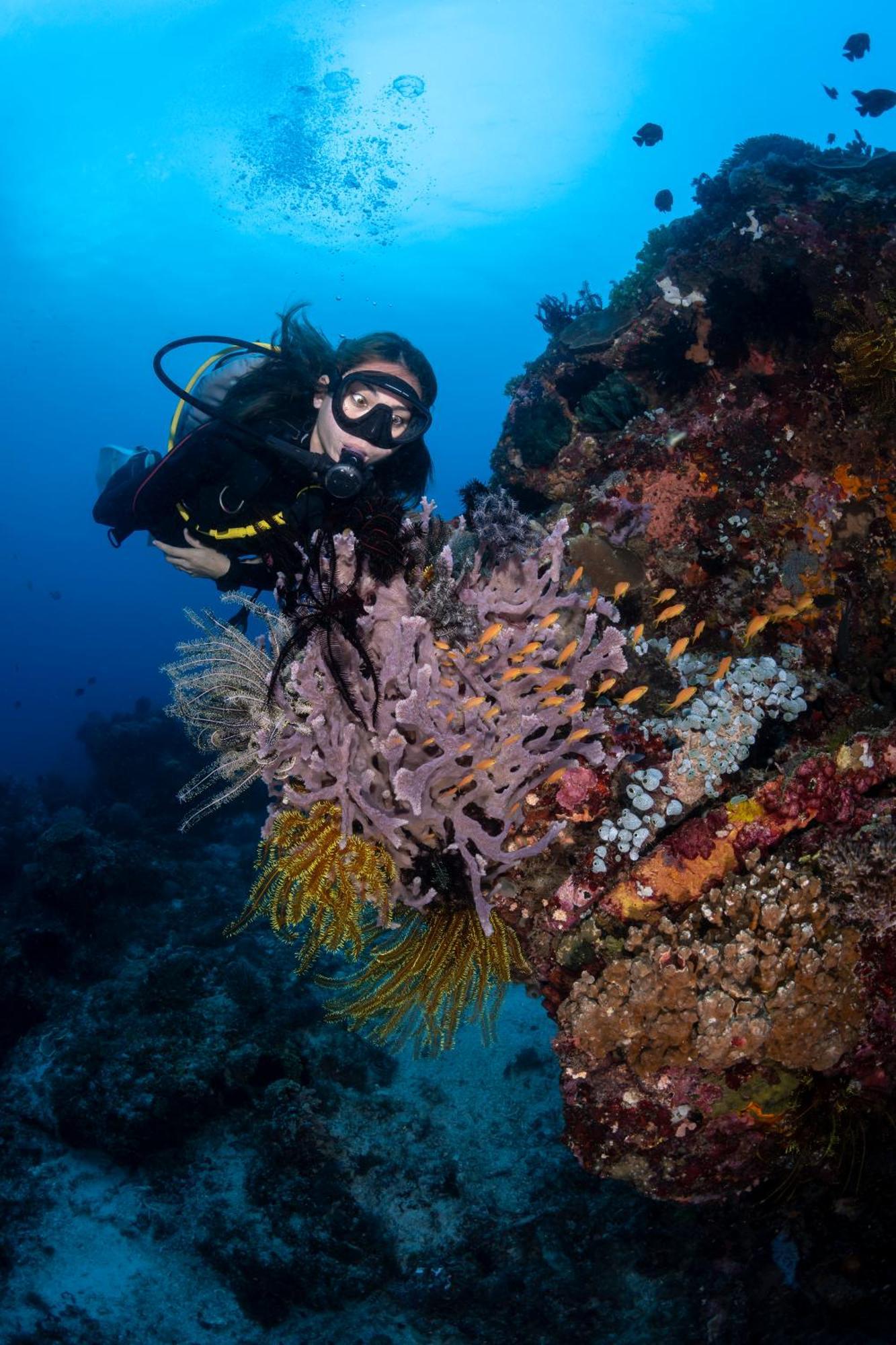 Emoha Dive Resort Сантандер Экстерьер фото