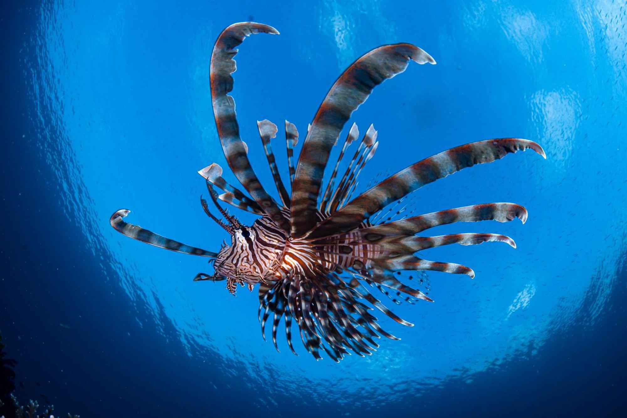 Emoha Dive Resort Сантандер Экстерьер фото