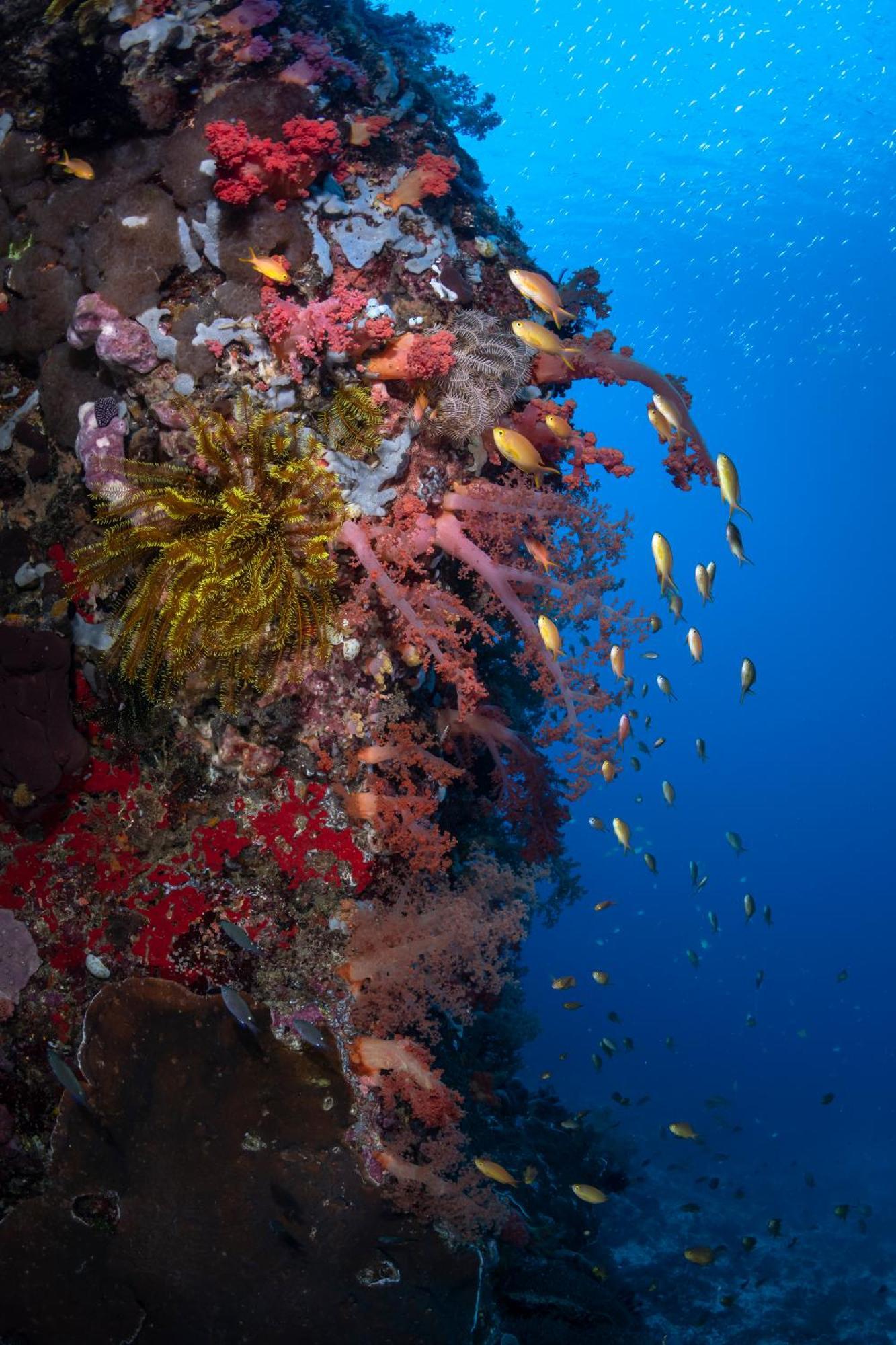 Emoha Dive Resort Сантандер Экстерьер фото
