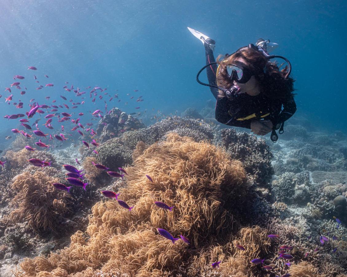 Emoha Dive Resort Сантандер Экстерьер фото